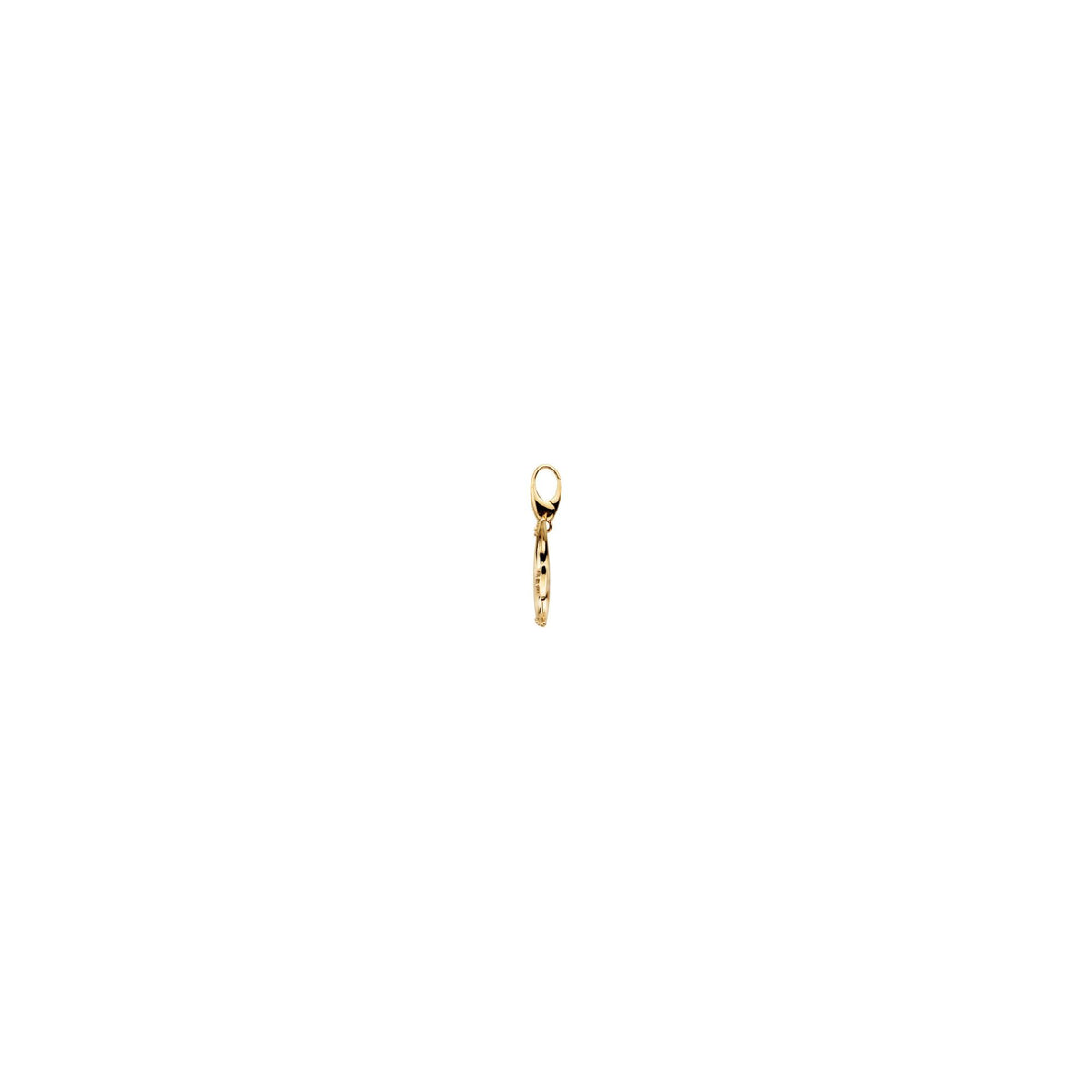 0.03 CTW Natural Diamond Angelfish Charm/Pendant