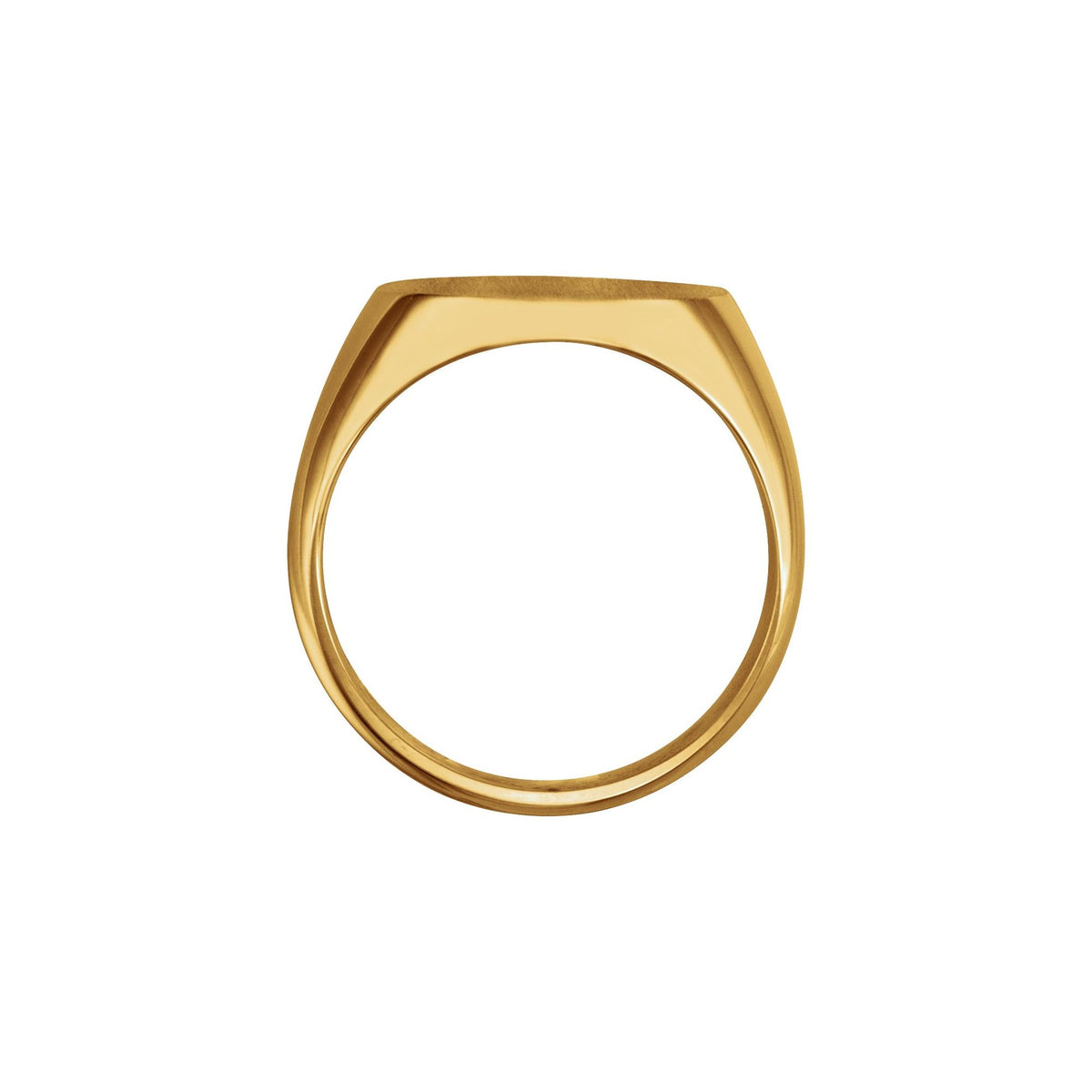 Oval Signet Ring 2
