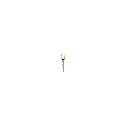 0.06 CTW Natural Diamond Sunfish Charm/Pendant