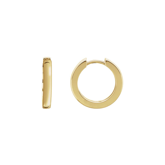 Hinged Hoop Earrings 2