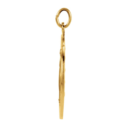 Miraculous Medal Necklace or Pendant