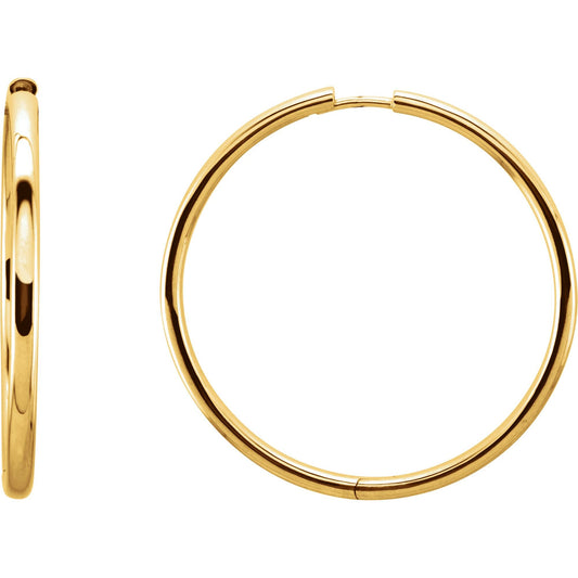 Hinged Hoop Earrings 3