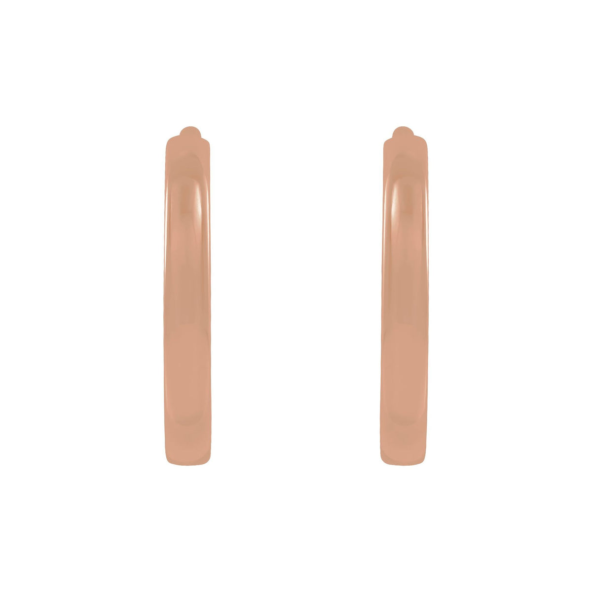 Hoop Earrings 2