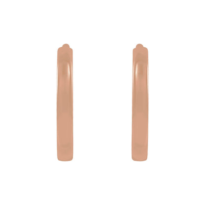 Hoop Earrings 2
