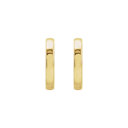 Hinged Hoop Earrings 2