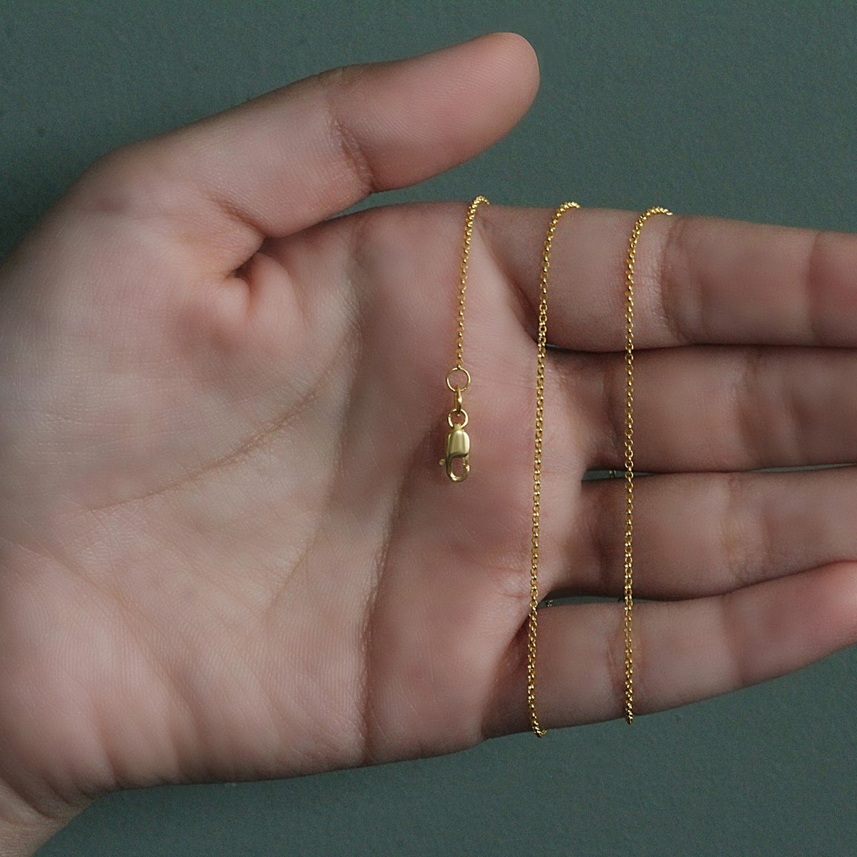 14k Diamond Cut Rolo Chain (1.10 mm)