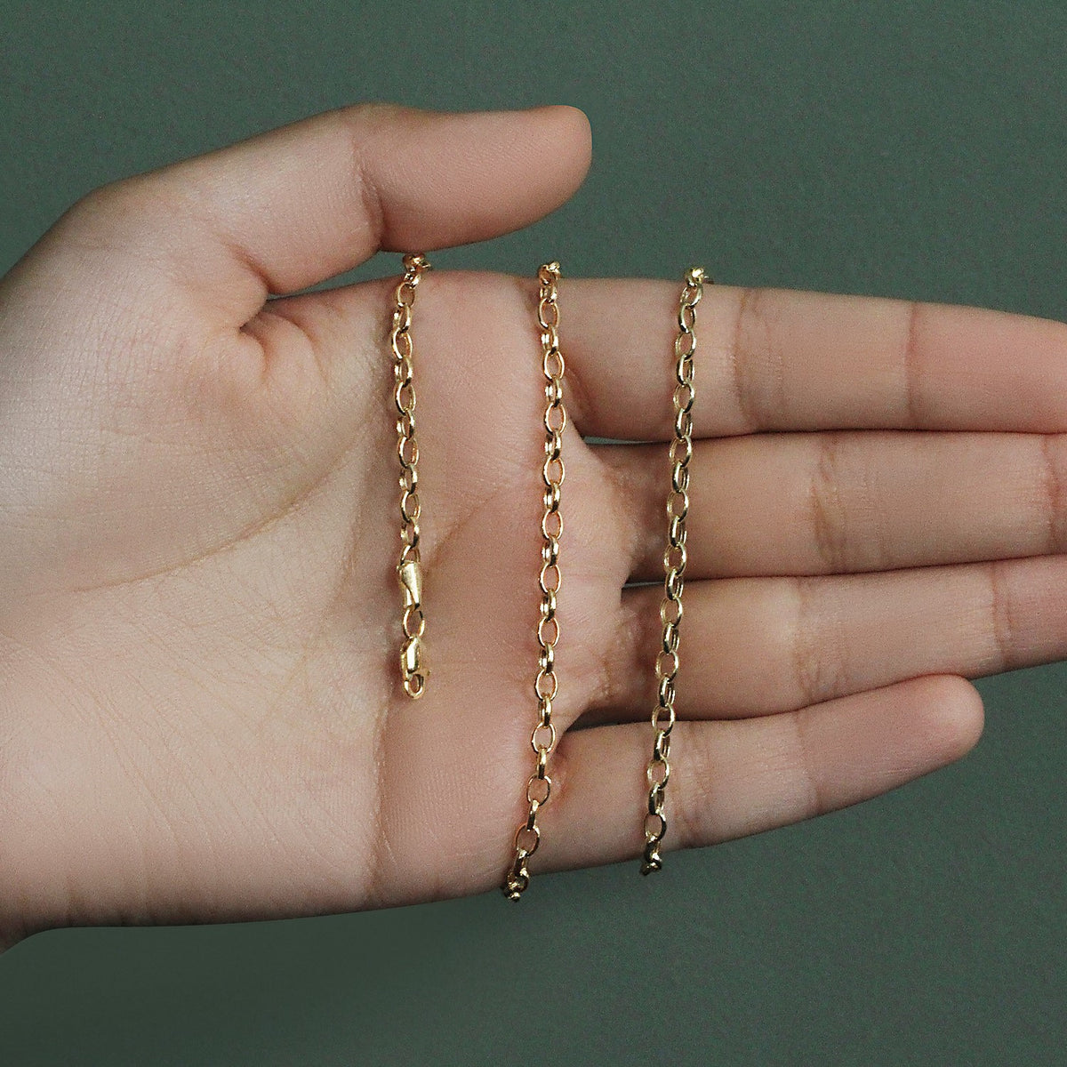 14k Yellow Gold Oval Rolo Chain