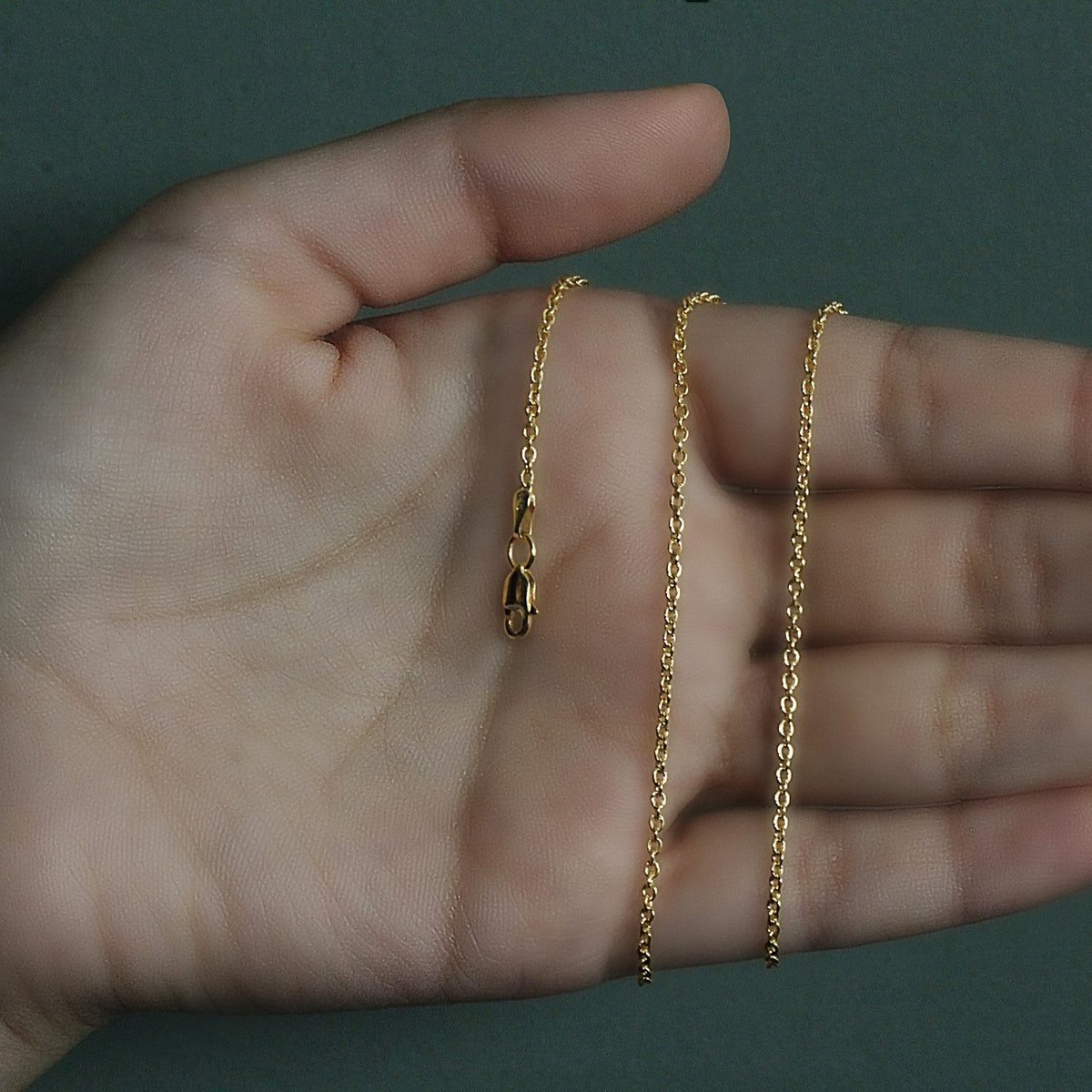 14k Yellow Gold Forsantina Lite Cable Link Chain