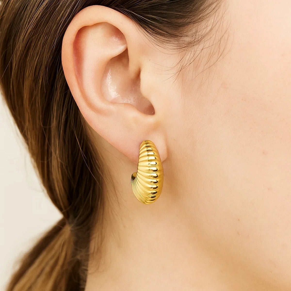 Puffy Graduated Ribbed Shell Hoop Earrings in 14K Yellow Gold