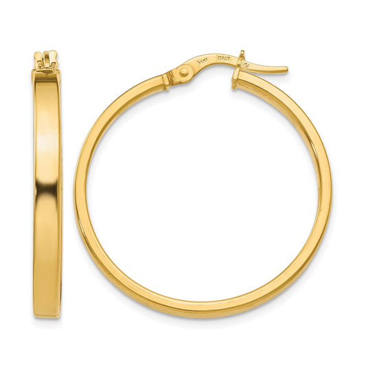 Polished Earrings - 3mm, 1.91g