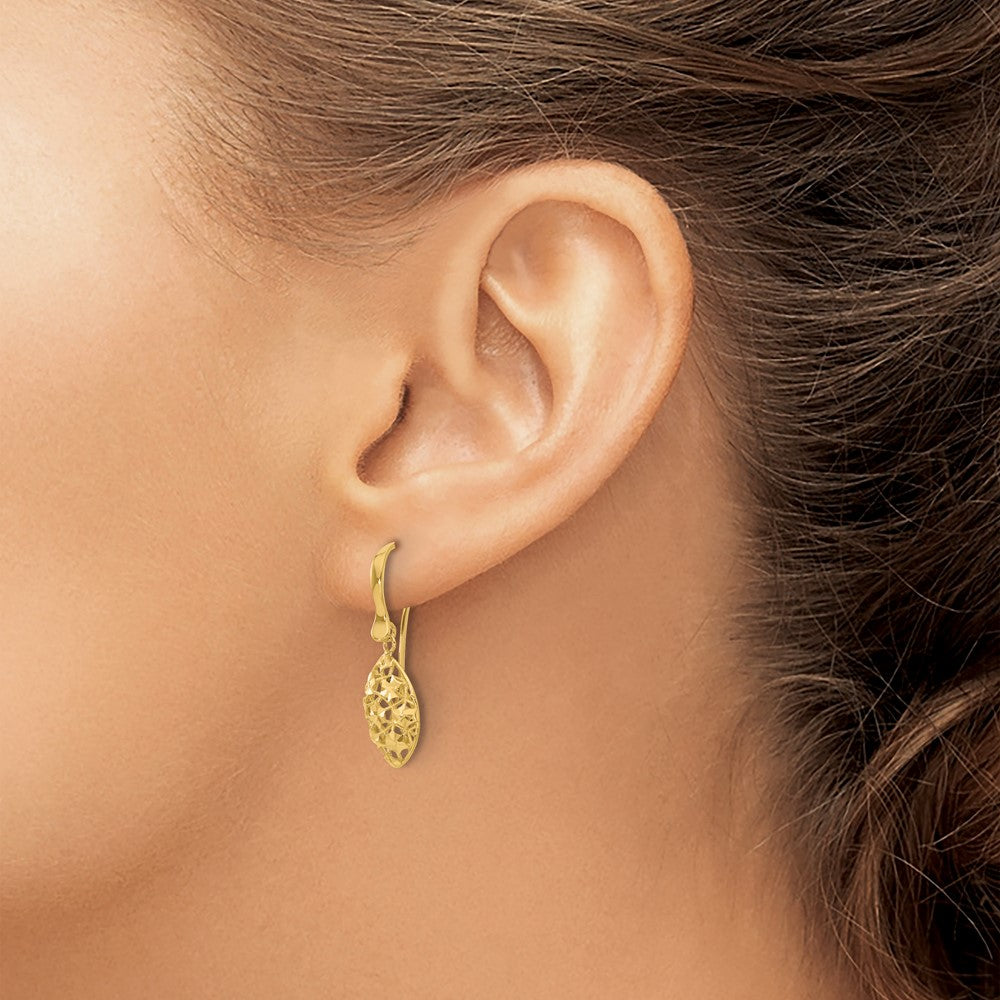 Polished D/C Shepherd Hook Dangle Earrings