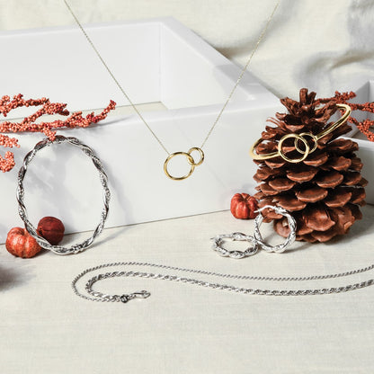 Polished Circles with 2 Inch Extender Necklace