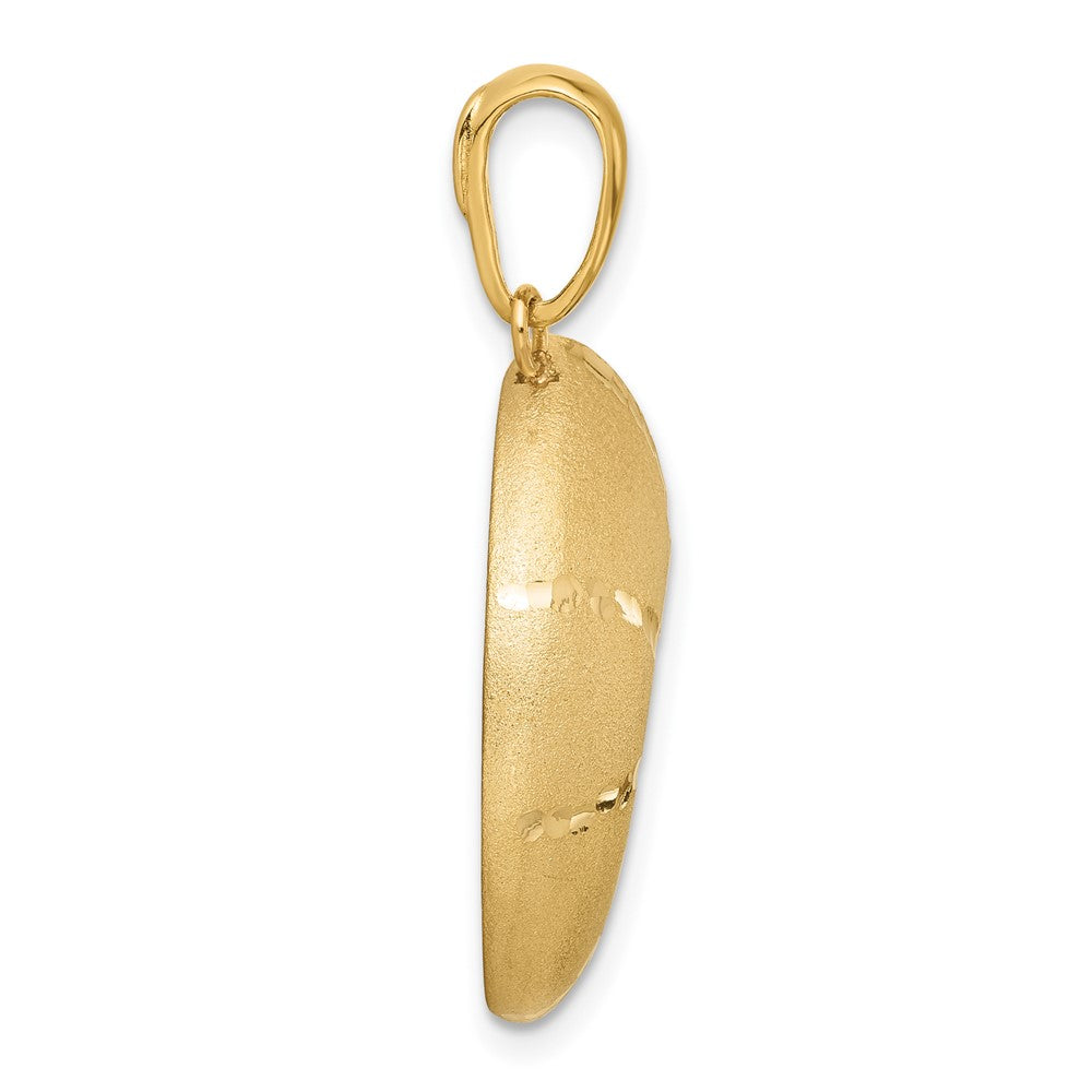 Satin D/C Nautilus Shell Pendant