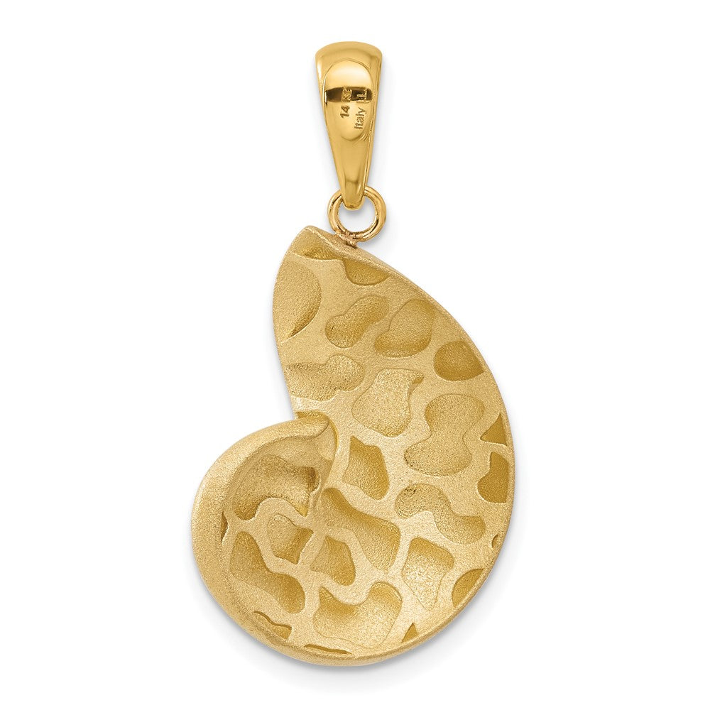 Satin D/C Nautilus Shell Pendant