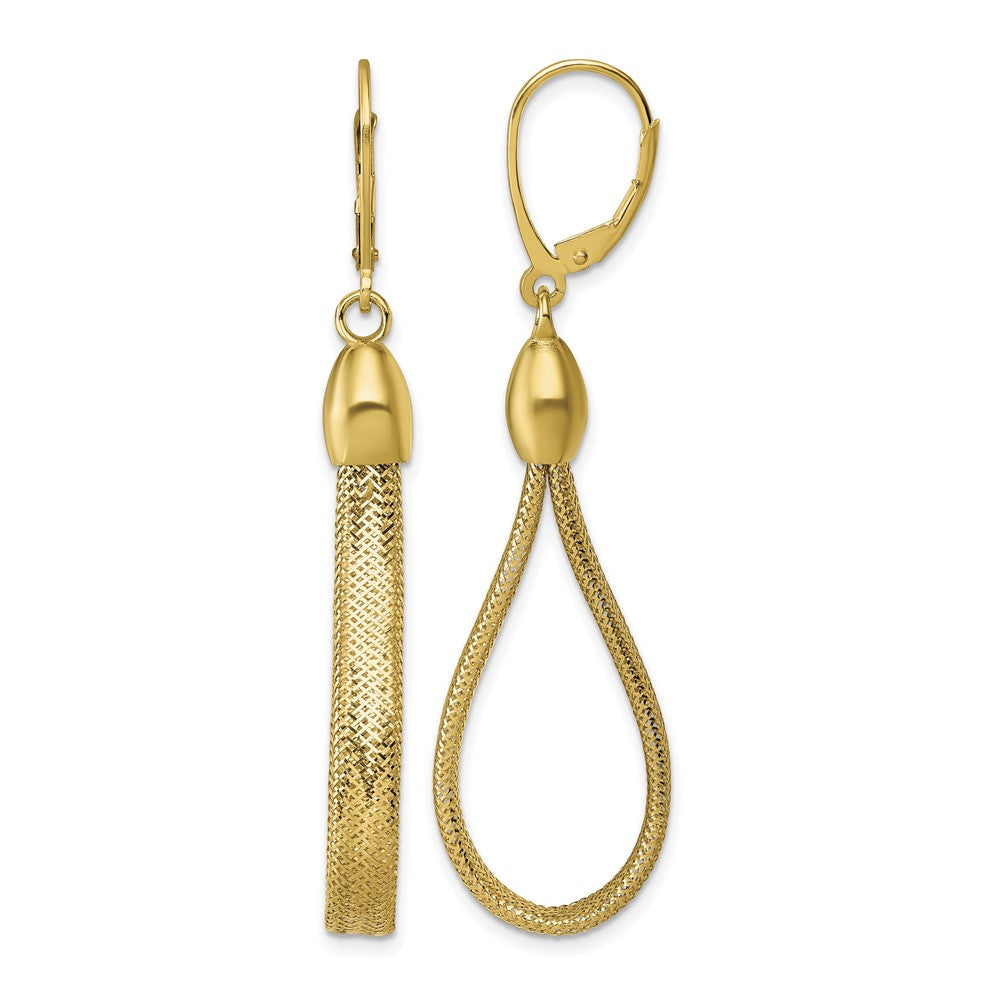 Polished Flexible Leverback Dangle Earrings