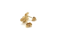 14k Post Earrings with Roses